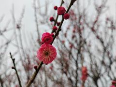 -南湖湿地公园