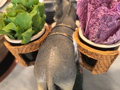 -慢丽江·云南野生菌土鸡锅(付家庄店)