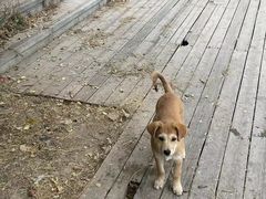 -马家湾湿地公园