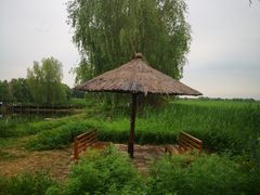 -白渔泡湿地公园