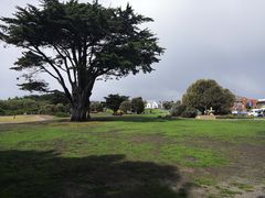 -Dooley's Premium Ice Cream