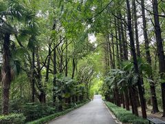 -同里国家湿地公园
