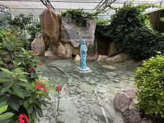 -南宫五洲植物乐园