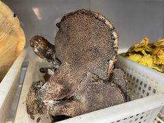 -菌之家·专业纯野生菌火锅·特色炒菌