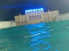 玛雅海滩-上海玛雅海滩水公园