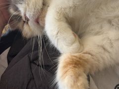 -平行世界·猫咖(首经贸店)