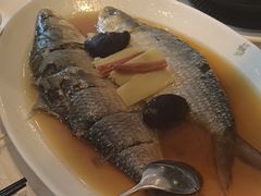 -苏浙汇(肇嘉浜路总店)