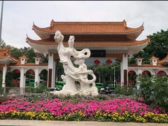 -深圳仙湖植物园