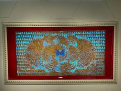 -上海昆虫博物馆