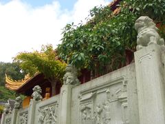 -普陀山风景名胜区-法雨禅寺