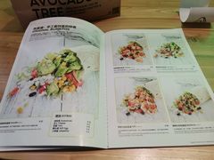-油梨树AVOCADO TREE(望京店)