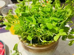 -牛村来人潮汕牛肉火锅(西单店)