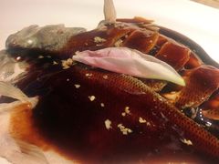 西湖醋鱼-绿茶餐厅(石家庄万象城店)