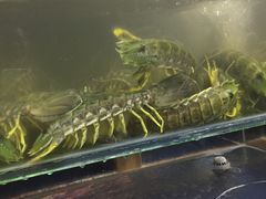 -量贩海鲜餐厅