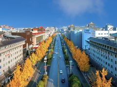 -西安城墙·碑林历史文化景区