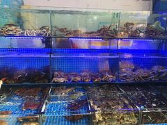 -众彩物流水产市场