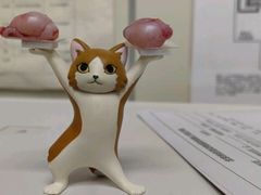 -纳吉亚猫专科动物诊疗中心(蒋宅口分院)