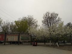 -永定河休闲森林公园