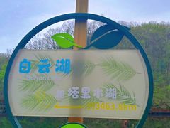 -洛阳白云山景区