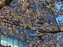 -玛格萝妮比萨屋(四平店)