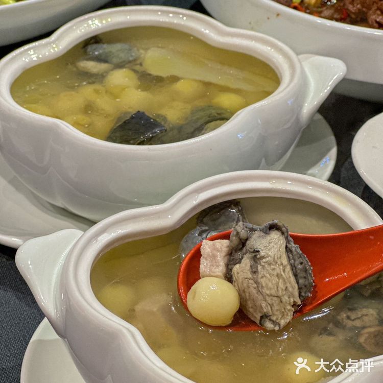 我说这是全武汉最好吃的甲鱼不过分叭~龟龙片甲