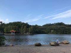 -深圳仙湖植物园