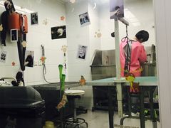 -达爱动物医院·犬猫分区·CT·复杂眼科(远洋山水分院)