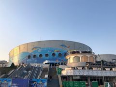 -海合安青岛极地海洋公园