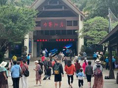 -海南分界洲岛旅游区