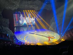 -重庆国际马戏城