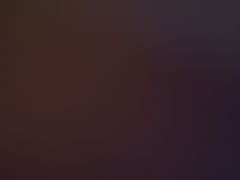 -太熟悉辣椒炒肉(南辛庄店)