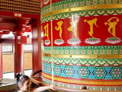 -新加坡佛牙寺龙华院