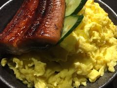 -春草居酒屋·晴子の店