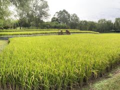 -北坞公园