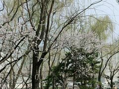 -元大都城垣遗址公园