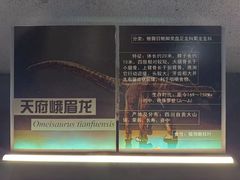 -中国西峡恐龙遗迹园