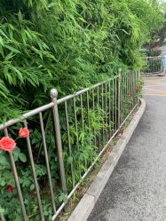 -首都儿科研究所附属儿童医院