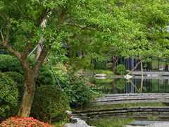 -云溪植物园