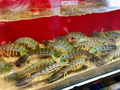 -大树下海鲜饭店