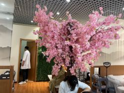 -久匠·纹眉纹绣半永久
