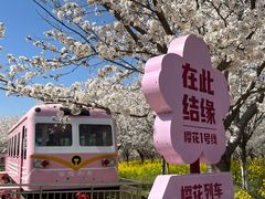 -古柏渡飞黄旅游区