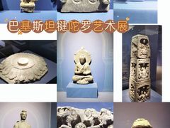 -甘肃省博物馆
