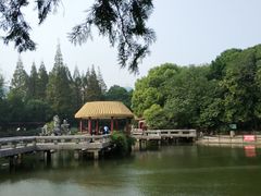 -江湾体育中心游泳馆