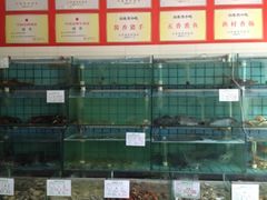 海鲜池-海岛渔村大酒店(云霄路店)