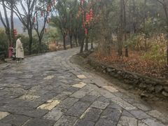 -天台山赤城山景区