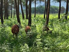 -Club Med地中海俱乐部·桂林度假村