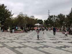 -番禺儿童公园