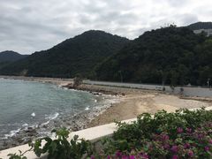 -杨梅坑