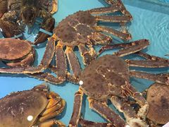 帝王蟹-金源山海一味(万科早城店)