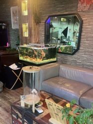 -青木造型HAIR·あおき髪を刈る潮人店